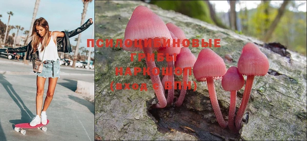spice Заводоуковск