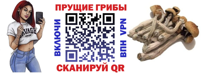 Псилоцибиновые грибы ЛСД  Унеча 